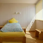 Feriehus Oeko-ferienhaus Nahe Der Mecklenburgischen Ostsee