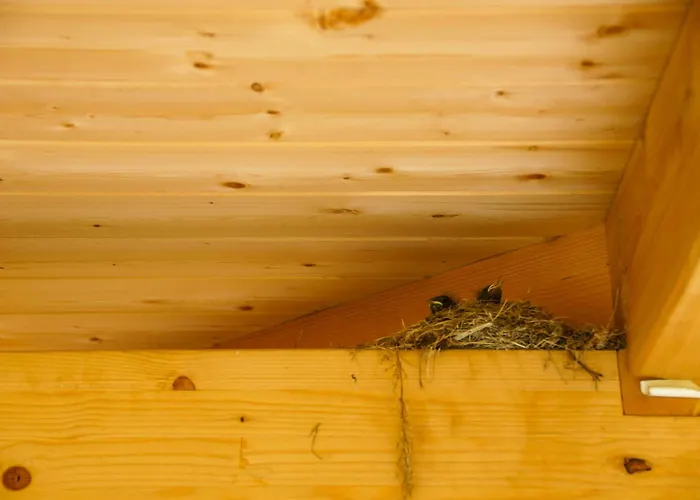 Eco-Friendly Holiday Home Near The Baltic Sea Moor-Rolofshagen